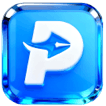 PDF